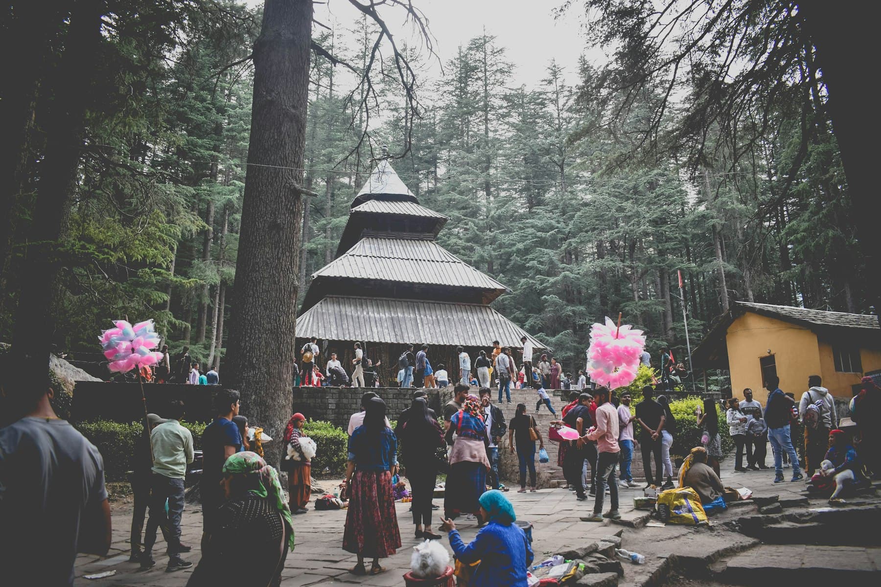 Manali destination guide
